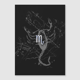 Chrome Style Scorpio Zodiac Sign on Hevelius Magnetkarte