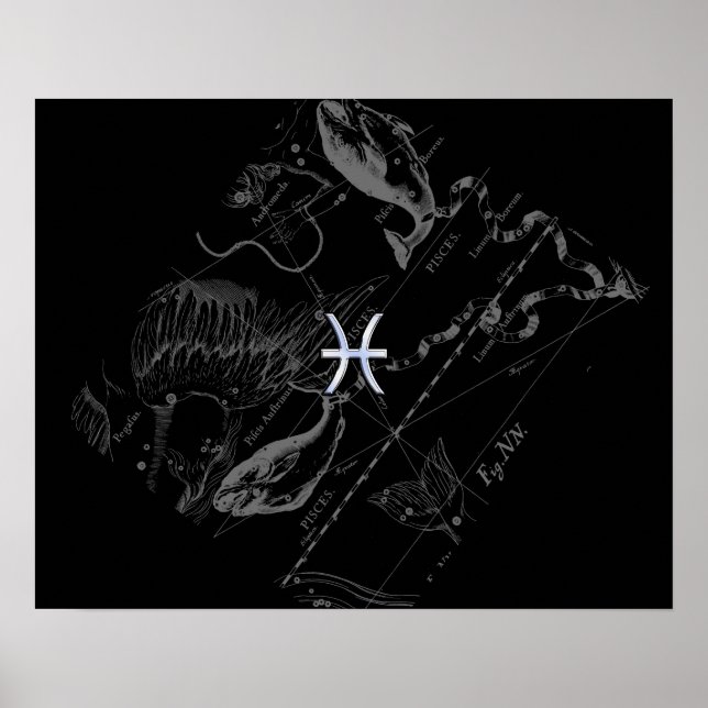 Chrome wie Pisces Zodiac Sign auf Hevelius 1690 Poster (Vorne)