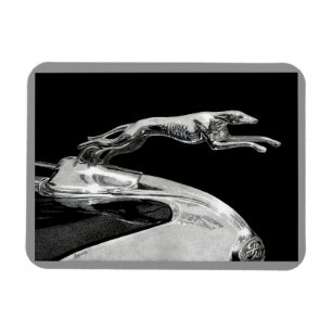 "Chromed Grace" - Greyhound Magnet