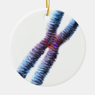 Chromosom Keramikornament