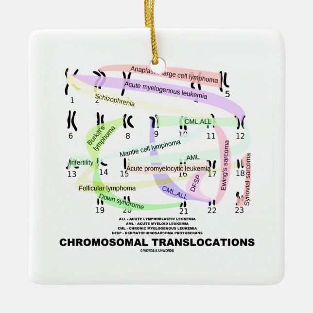 Chromosomale Versetzungen (Karyogram) Silbernes Ornament (Vorderseite)
