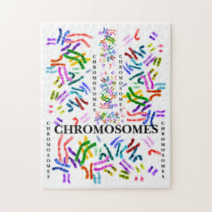 Chromosomen Challenging Fun für das Alter von 10 u Puzzle