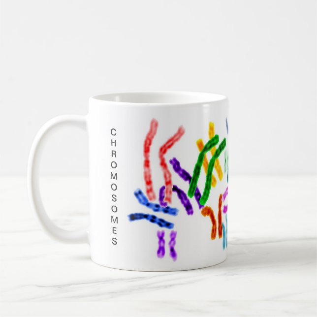 Chromosomen, DNA-Moleküle Kaffeetasse (Links)