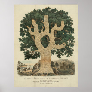 Chronologisches Diagramm der amerikanischen Geschi Poster