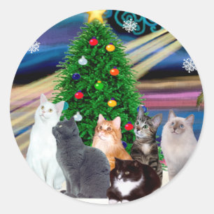 Chrstmas Magic - Sechs Katzen (Sorte) Runder Aufkleber