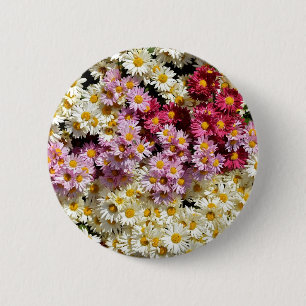 Chrysanthema Button