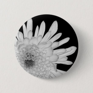 Chrysantheme Button