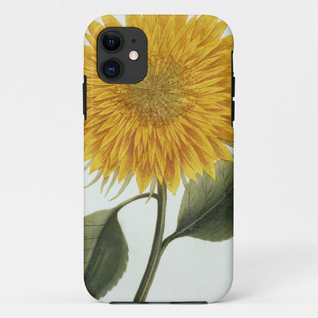 Chrysantheme Indicum von 'Pythanthoza Iconograph Case-Mate iPhone Hülle (Rückseite)