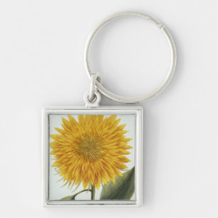 Chrysantheme Indicum von 'Pythanthoza Iconograph Schlüsselanhänger