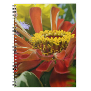 Chrysantheme Notizblock
