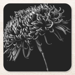 Chrysantheme Rechteckiger Pappuntersetzer