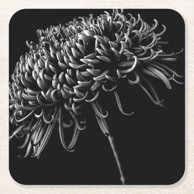 Chrysantheme Rechteckiger Pappuntersetzer (Vorderseite)
