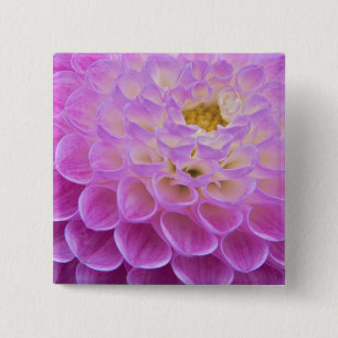Chrysantheme ziert Grabstelle in Button