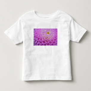 Chrysantheme ziert Grabstelle in Kleinkind T-shirt