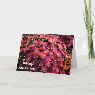 Chrysanthemen / Magenta / Herbstvorträge Karte