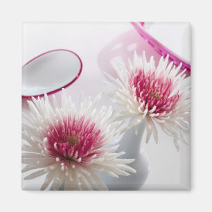 Chrysanthemen Magnet