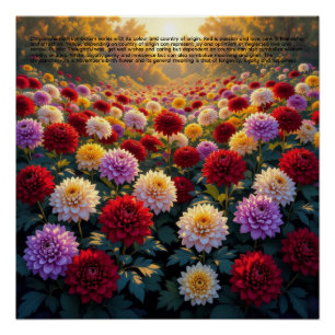 Chrysanthemen-Symbolik Poster