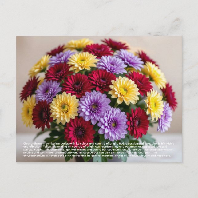 Chrysanthemen-Symbolik Postkarte (Vorderseite)