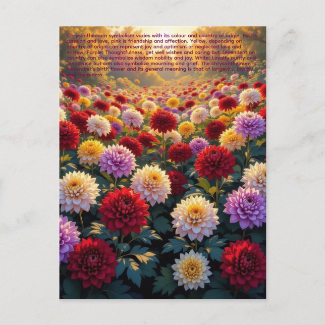 Chrysanthemen-Symbolik Postkarte (Vorderseite)
