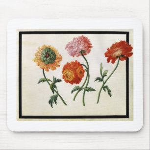 Chrysanthemen (w/c auf Papier) Mousepad