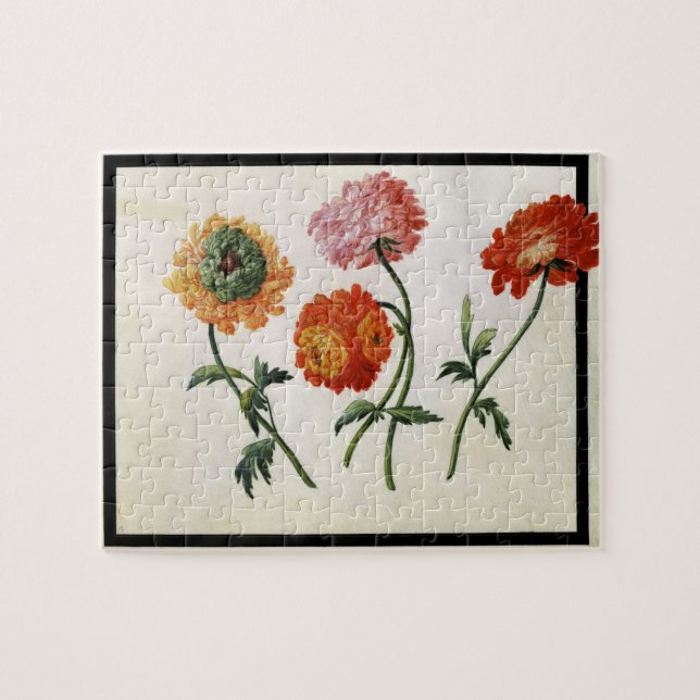 Chrysanthemen (w/c auf Papier) Puzzle (Horizontal)