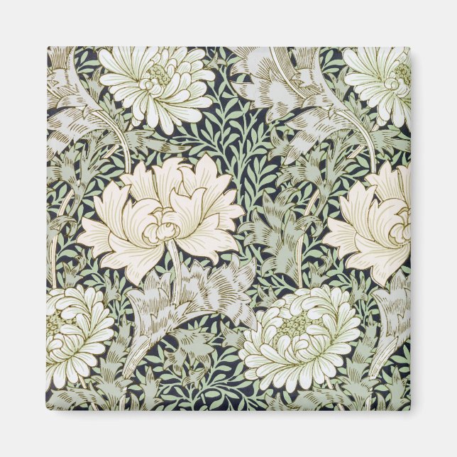 Chrysanthemen, William Morris Magnet (Vorne)