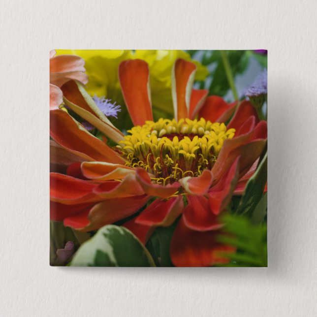 Chrysanthemenblüte Button (Vorderseite)