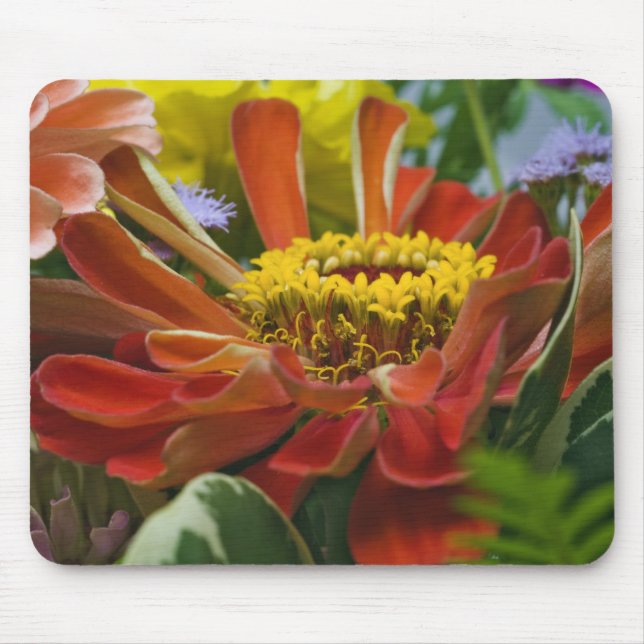 Chrysanthemenblüte Mousepad (Vorne)