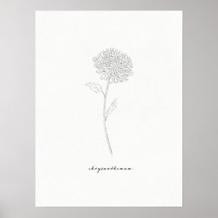 Chrysanthemum Art Print Poster