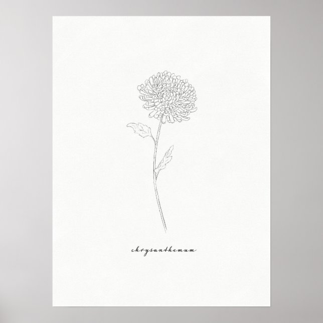 Chrysanthemum Art Print Poster (Vorne)