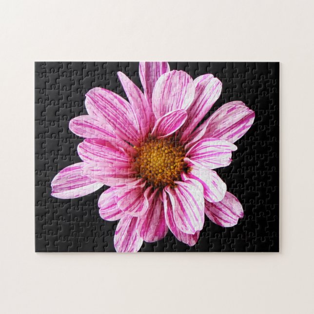Chrysanthemum Blume 11x14 252pc jpcnm Puzzle (Horizontal)