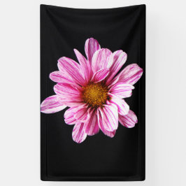 Chrysanthemum-Blume Banner