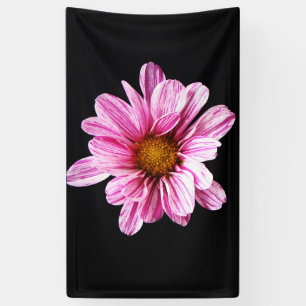 Chrysanthemum-Blume Banner