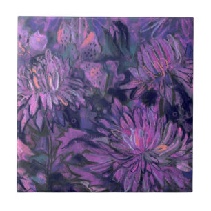 Chrysanthemum Blume Blumenfarbe Violett Rosa Fliese