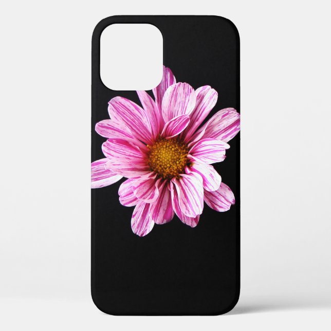 Chrysanthemum Blume iphcna Case-Mate iPhone Hülle (Rückseite)