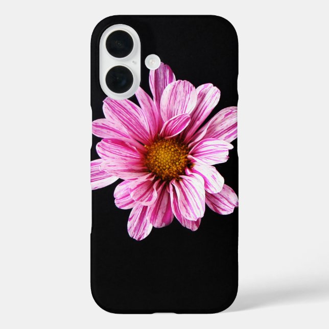 Chrysanthemum Blume iphcna Case-Mate iPhone Hülle (Rückseite)