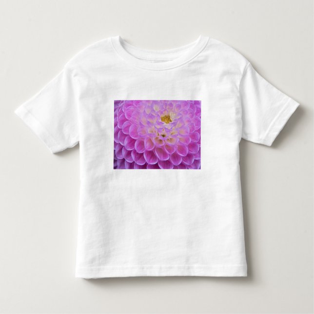 Chrysanthemum-Blume mit Grabstätte in Kleinkind T-shirt (Vorderseite)
