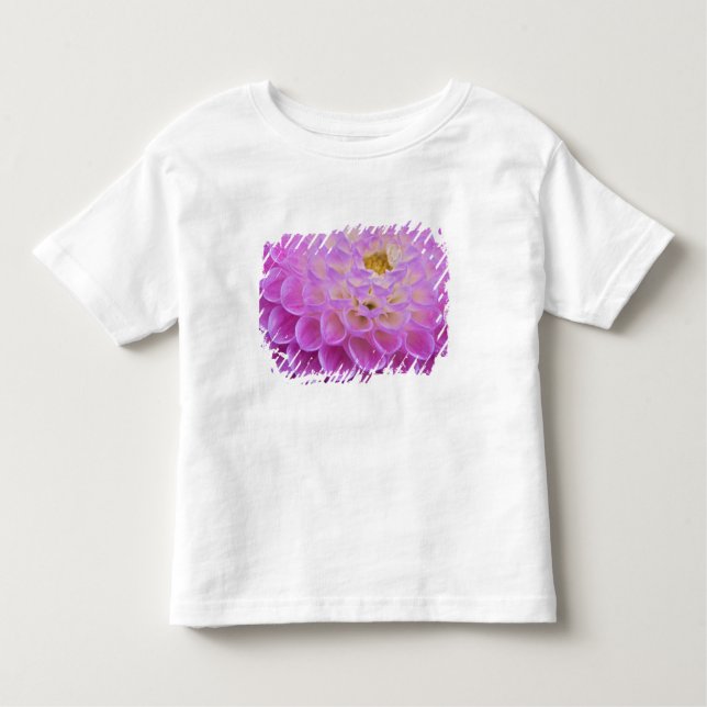 Chrysanthemum-Blume mit Grabstätte in Kleinkind T-shirt (Vorderseite)
