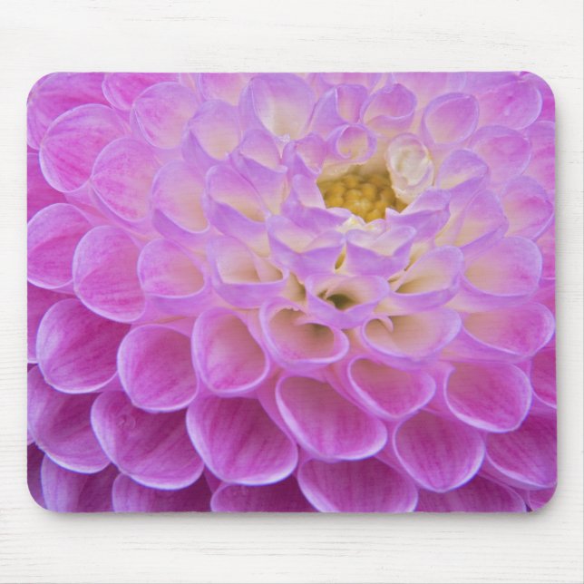 Chrysanthemum-Blume mit Grabstätte in Mousepad (Vorne)