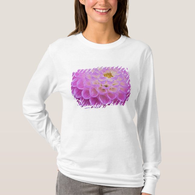 Chrysanthemum-Blume mit Grabstätte in T-Shirt (Vorderseite)