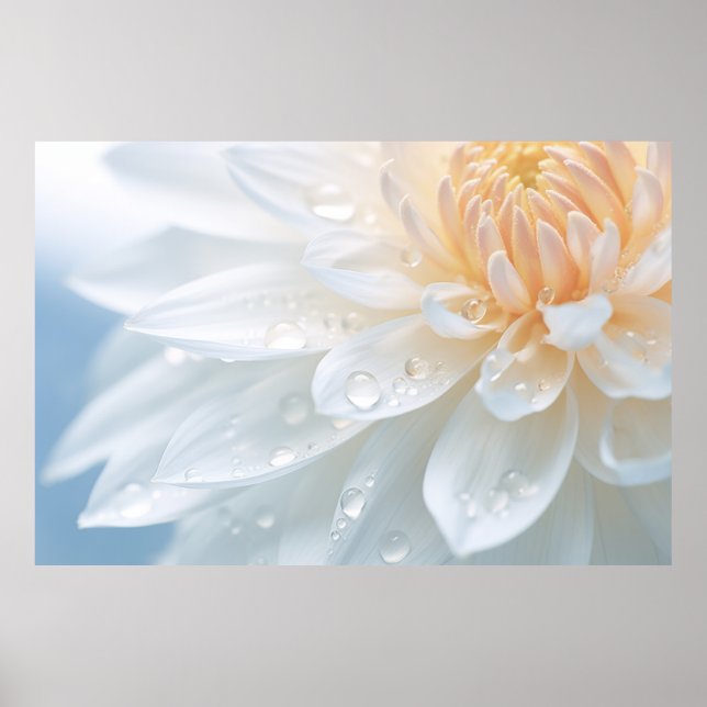 Chrysanthemum Blume Petal Nature Poster (Vorne)