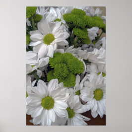 Chrysanthemum Blume Poster
