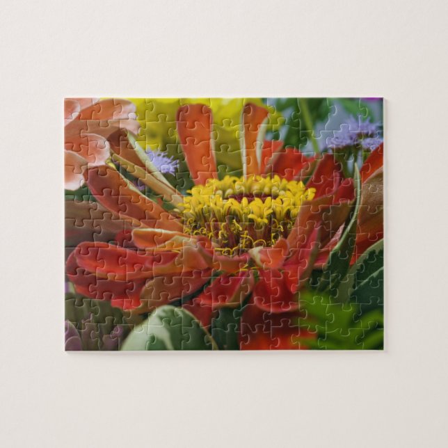 Chrysanthemum-Blume Puzzle (Horizontal)