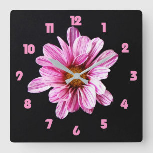 Chrysanthemum Blume Rosa Fettzahl wccn Quadratische Wanduhr