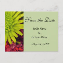 chrysanthemum Blume Save the Date Postkarte.