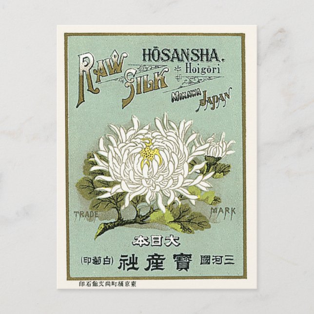 Chrysanthemum Blume Vintag Japanisches Seidensiege Postkarte (Vorderseite)