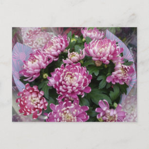 Chrysanthemum Bouquet Postkarte