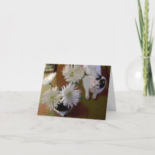 Chrysanthemum Cat glücksnote card Karte
