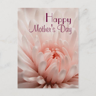 Chrysanthemum - Glücklicher Muttertag individuell Postkarte
