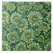 Chrysanthemum grüne Blume